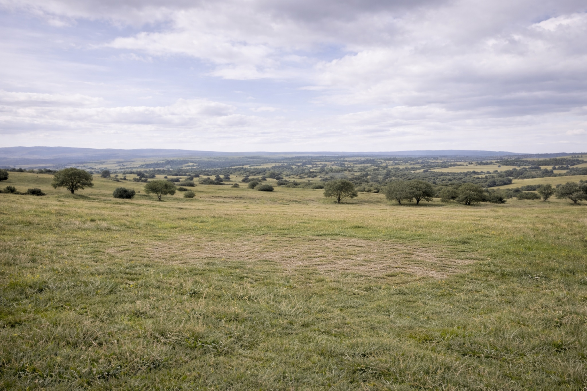 Vivienda de madera moderna en Galicia (projectsDetail.imageN)
